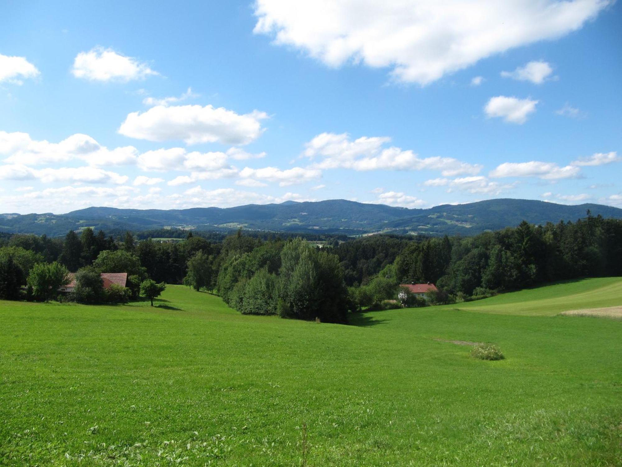 Buechelsteiner Hof Hotel Grattersdorf Eksteriør billede